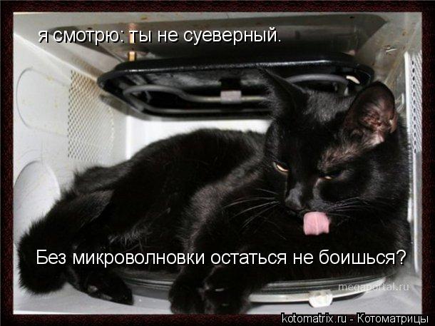 Котоматрица: я смотрю: ты не суеверный.  Без микроволновки остаться не боишься?