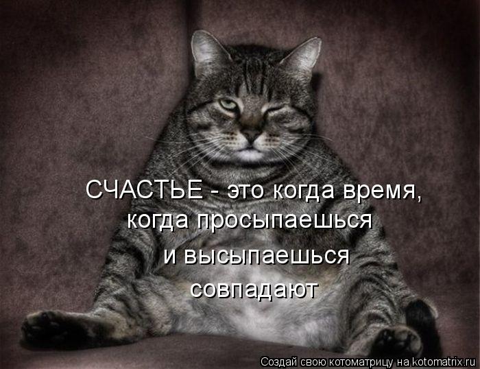 Котоматрица: СЧАСТЬЕ - это когда время, когда просыпаешься и высыпаешься совпадают