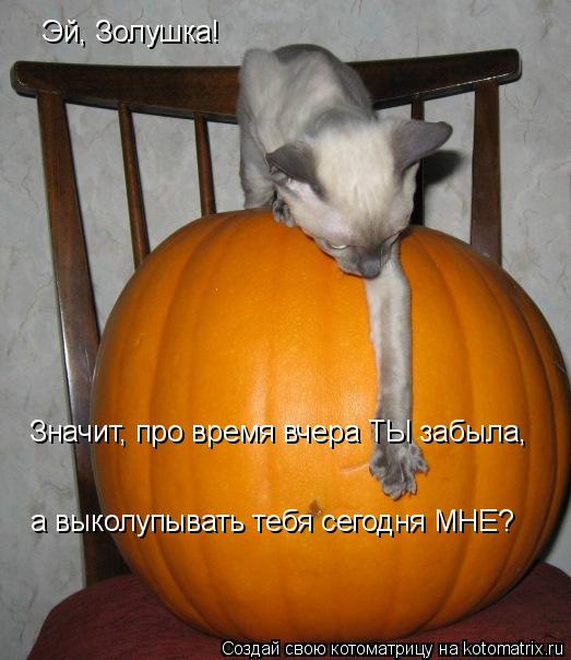 Котоматрица: Эй, Золушка! Значит, про время вчера ТЫ забыла, а выколупывать тебя сегодня МНЕ?