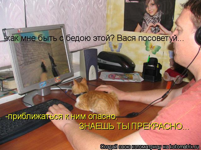 Котоматрица: -как мне быть с бедою этой? Вася посоветуй... -приближаться к ним опасно, ЗНАЕШЬ ТЫ ПРЕКРАСНО...