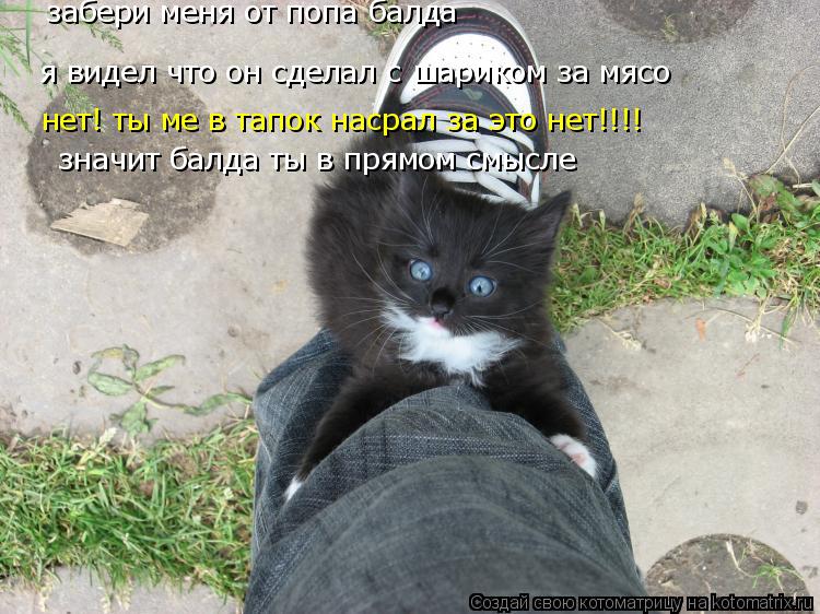 Котоматрица: я видел что он сделал с шариком за мясо забери меня от попа балда нет! ты ме в тапок насрал за это нет!!!! нет!  значит балда ты в прямом смысле