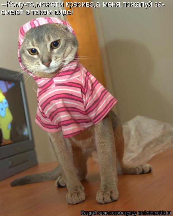 --Кому-то,может,и красиво,а меня,пожалуй за- смеют в таком виде!... Котоматрица: --Кому-то,может,и красиво,а меня,пожалуй за- смеют в таком виде!