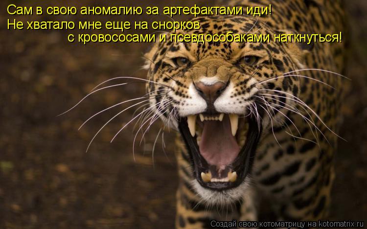 Сам в свою аномалию за артефактами иди! Не хватало мне еще на снорков с кровососами и псевдособаками... Котоматрица: Сам в свою аномалию за артефактами иди! Не хватало мне еще на снорков с кровососами и псевдособаками наткнуться!