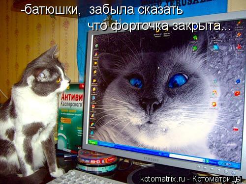 что форточка закрыта... -батюшки, забыла сказать... Котоматрица: что форточка закрыта... -батюшки, забыла сказать