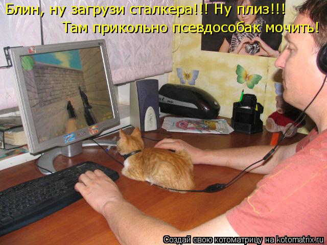 Блин, ну загрузи сталкера!!! Ну плиз!!! Там прикольно псевдособак мочить!... Котоматрица: Блин, ну загрузи сталкера!!! Ну плиз!!! Там прикольно псевдособак мочить!