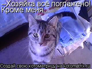 --Хозяйка,всё поглажено! Кроме меня...... Котоматрица: --Хозяйка,всё поглажено! Кроме меня...
