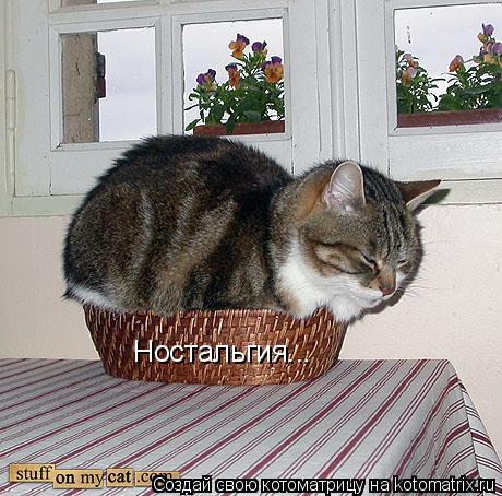 Ностальгия...... Котоматрица: Ностальгия...