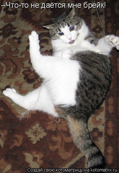 --Что-то не даётся мне брейк!... Котоматрица: --Что-то не даётся мне брейк!