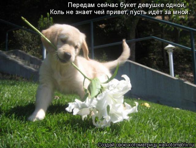 Передам сейчас букет девушке одной, Коль не знает чей привет, пусть идёт за мной.... Котоматрица: Передам сейчас букет девушке одной, Коль не знает чей привет, пусть идёт за мной.