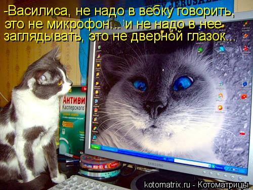 Котоматрица: это не микрофон... и не надо в нее заглядывать, это не дверной глазок... -Василиса, не надо в вебку говорить,