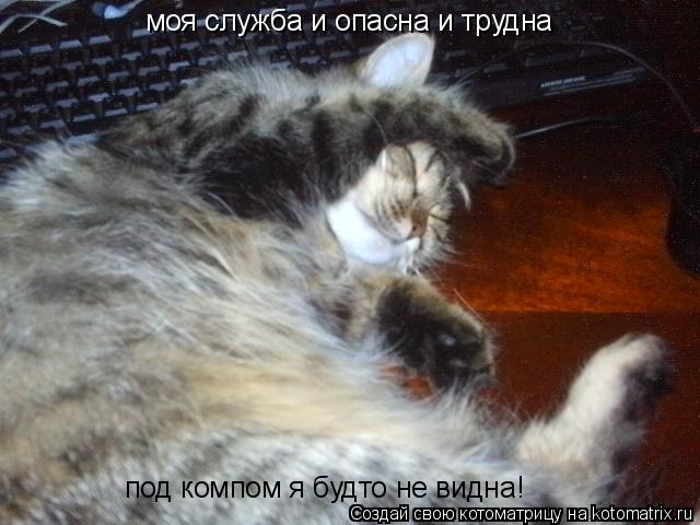 Котоматрица: моя служба и опасна и трудна под компом я будто не видна!