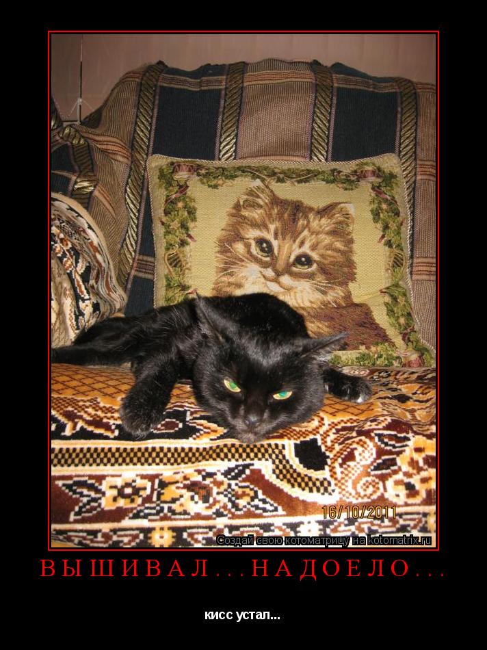 Котоматрица: Вышивал...Надоело... кисс устал...