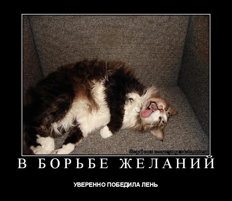 Котоматрица: В БОРЬБЕ ЖЕЛАНИЙ УВЕРЕННО ПОБЕДИЛА ЛЕНЬ