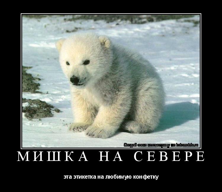 Мишка на Севере эта этикетка на любимую конфетку... Котоматрица: Мишка на Севере эта этикетка на любимую конфетку