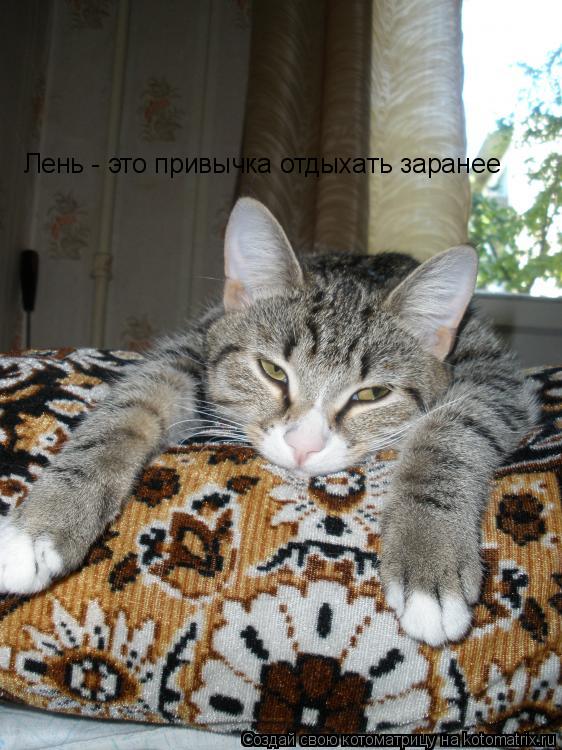 Лень - это привычка отдыхать заранее... Котоматрица: Лень - это привычка отдыхать заранее