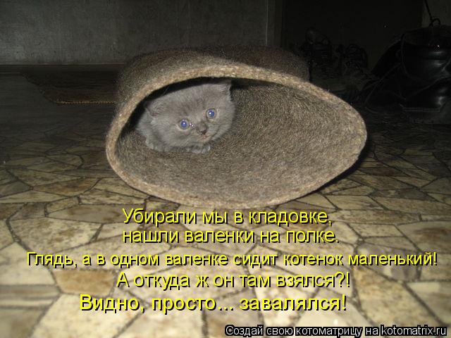 Убирали мы в кладовке, нашли валенки на полке. Глядь, а в одном валенке сидит котенок маленький! А о... Котоматрица: Убирали мы в кладовке, нашли валенки на полке. Глядь, а в одном валенке сидит котенок маленький! А откуда ж он там взялся?! Видно, просто... зав