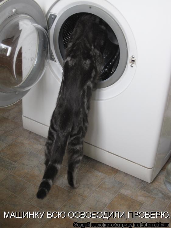 Котоматрица: МАШИНКУ ВСЮ ОСВОБОДИЛИ,ПРОВЕРЮ.. МАШИНКУ ВСЮ ОСВОБОДИЛИ,ПРОВЕРЮ..