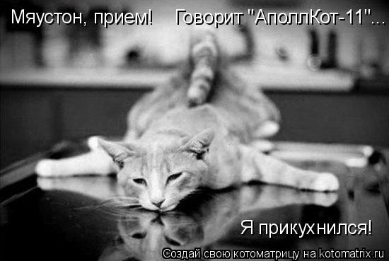 Котоматрица: Я прикухнился! Мяустон, прием!    Говорит "АполлКот-11"...