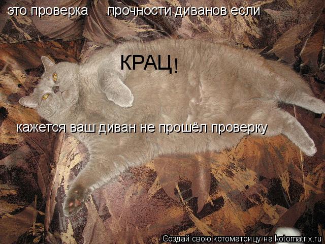 Котоматрица: это проверка     прочности диванов если КРАЦ ! кажется ваш диван не прошёл проверку