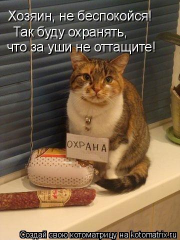 Котоматрица: Так буду охранять,  что за уши не оттащите! Хозяин, не беспокойся!
