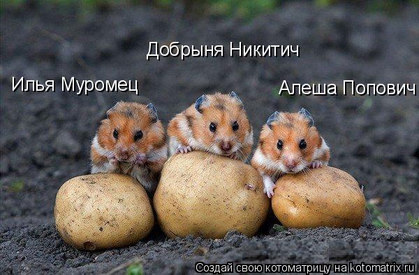 Илья Муромец Алеша Попович Добрыня Никитич... Котоматрица: Илья Муромец Алеша Попович Добрыня Никитич