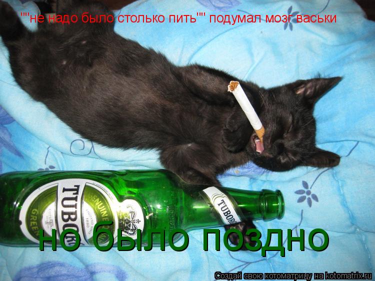 ""не надо было столько пить"" подумал мозг васьки но было поздно... Котоматрица: ""не надо было столько пить"" подумал мозг васьки но было поздно