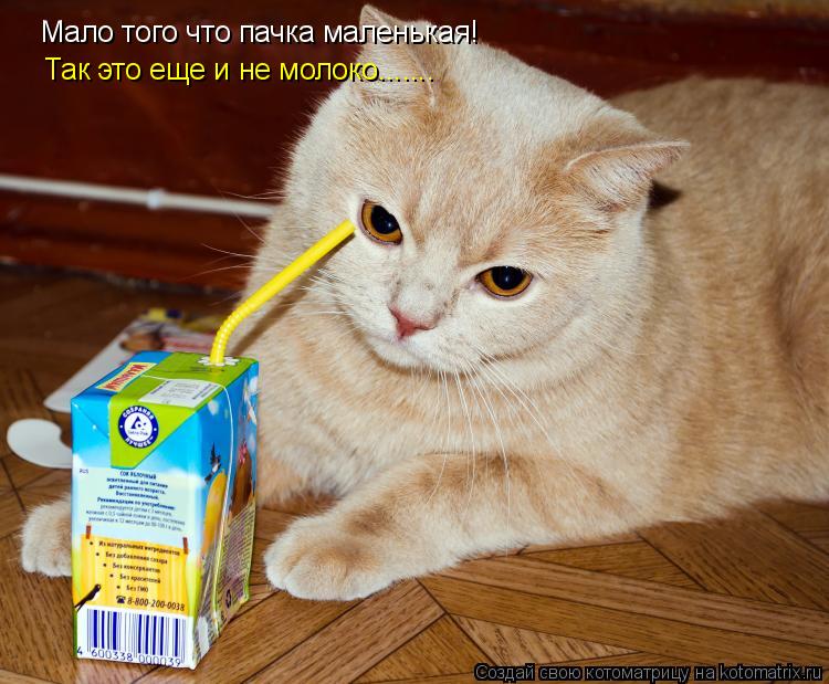 Мало того что пачка маленькая! Так это еще и не молоко.......... Котоматрица: Мало того что пачка маленькая! Так это еще и не молоко.......