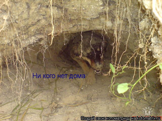 Ни кого нет дома Ни кого нет дома... Котоматрица: Ни кого нет дома Ни кого нет дома