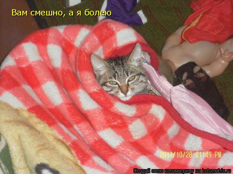 Вам смешно, а я болею... Котоматрица: Вам смешно, а я болею