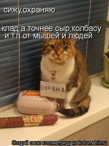 сижу,охраняю клад а точнее сыр,колбасу и т.п от мышей и людей... Котоматрица: сижу,охраняю клад а точнее сыр,колбасу и т.п от мышей и людей