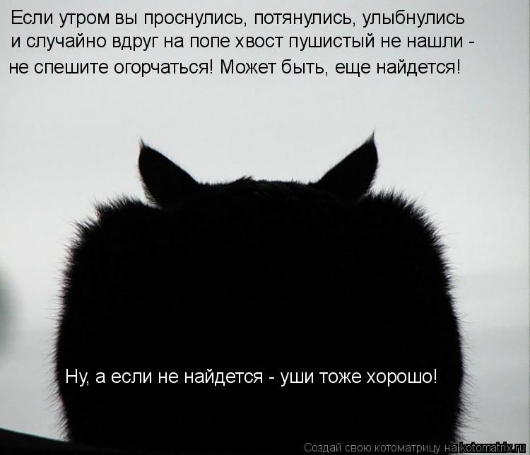 Если утром вы проснулись, потянулись, улыбнулись и случайно вдруг на попе хвост пушистый не нашли - ... Котоматрица: Если утром вы проснулись, потянулись, улыбнулись и случайно вдруг на попе хвост пушистый не нашли - не спешите огорчаться! Может быть, еще н