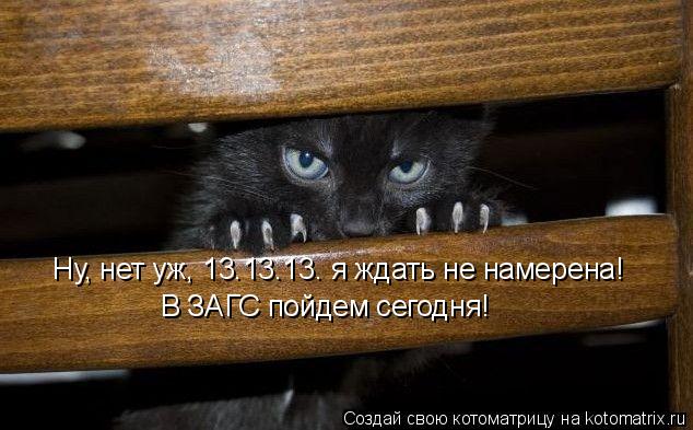 Котоматрица: Ну, нет уж, 13.13.13. я ждать не намерена! В ЗАГС пойдем сегодня!