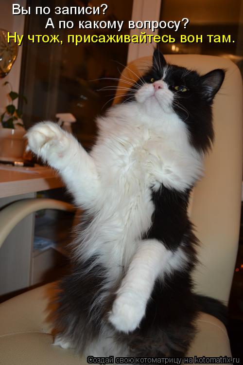 Котоматрица: Вы по записи? А по какому вопросу? Ну чтож, присаживайтесь вон там.