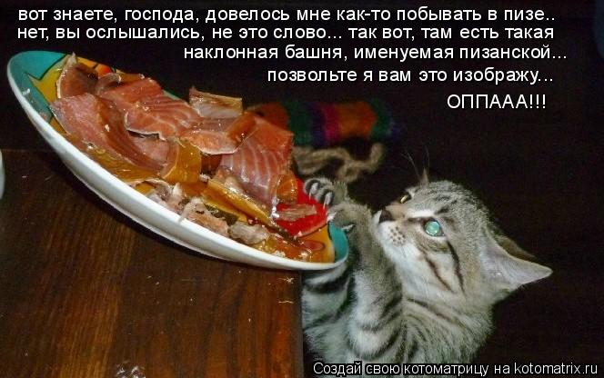 Котоматрица: вот знаете, господа, довелось мне как-то побывать в пизе.. нет, вы ослышались, не это слово... так вот, там есть такая наклонная башня, именуема