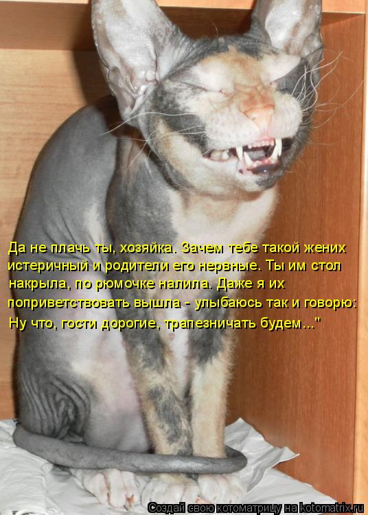 Да не плачь ты, хозяйка. Зачем тебе такой жених истеричный и родители его нервные. Ты им стол накрыла... Котоматрица: Да не плачь ты, хозяйка. Зачем тебе такой жених истеричный и родители его нервные. Ты им стол накрыла, по рюмочке налила. Даже я их поприветс