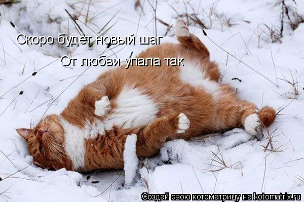 Котоматрица: Скоро будет новый шаг От любви упала так