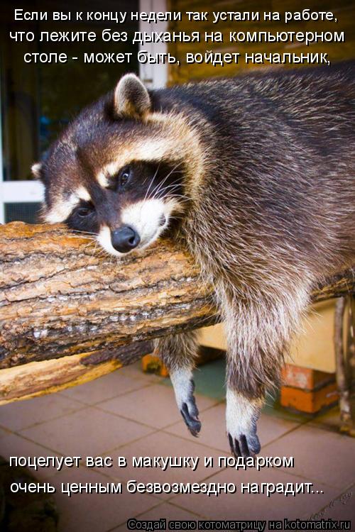Котоматрица: Если вы к концу недели так устали на работе,  что лежите без дыханья на компьютерном  столе - может быть, войдет начальник,  поцелует вас в мак