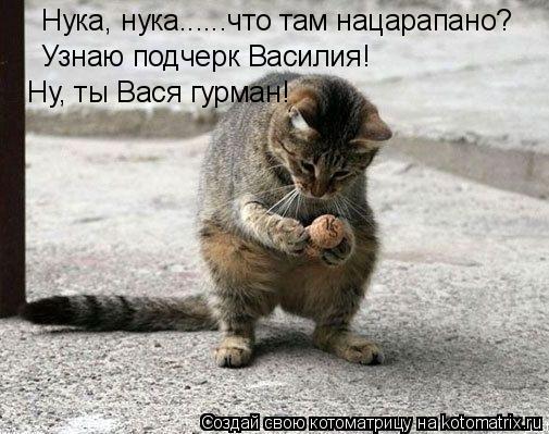 Котоматрица: Нука, нука......что там нацарапано?  Узнаю подчерк Василия! Ну, ты Вася гурман!