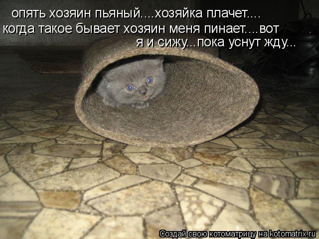 Котоматрица: опять хозяин пьяный....хозяйка плачет.... когда такое бывает хозяин меня пинает....вот  я и сижу...пока уснут жду...
