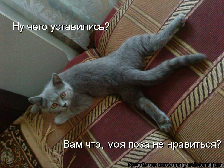 Котоматрица: Ну чего уставились? Вам что, моя поза не нравиться?