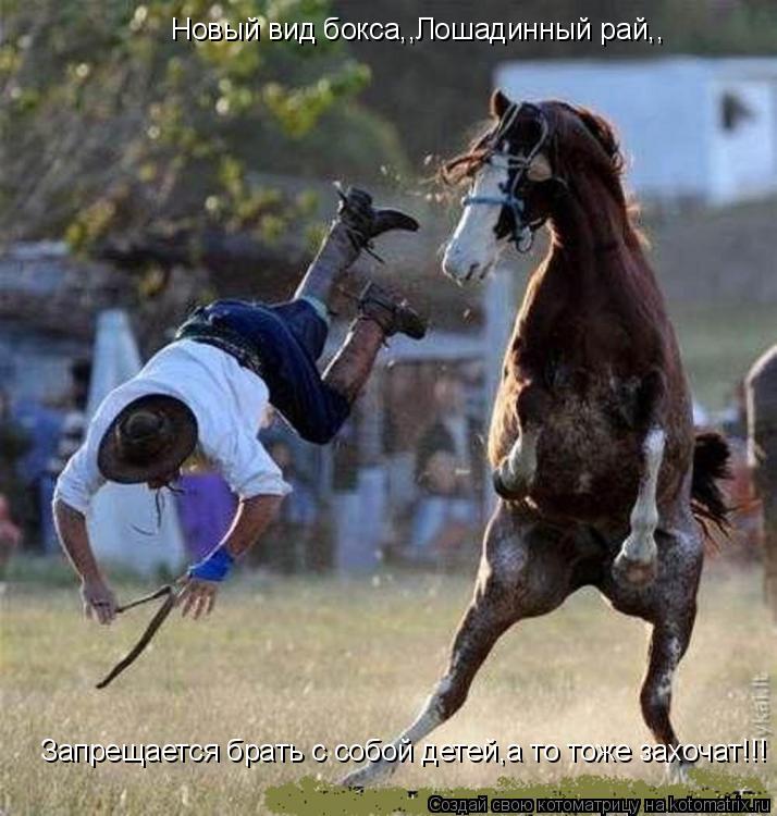 Котоматрица: Новый вид бокса,,Лошадинный рай,, Запрещается брать с собой детей,а то тоже захочат!!!