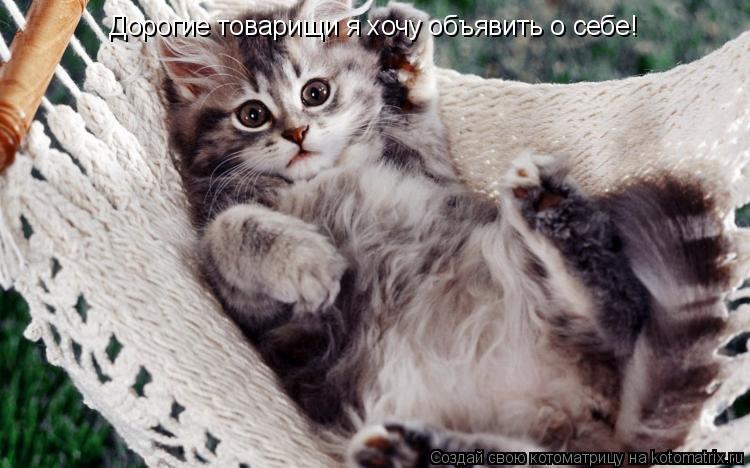 Котоматрица: Дорогие товарищи я хочу объявить о себе!
