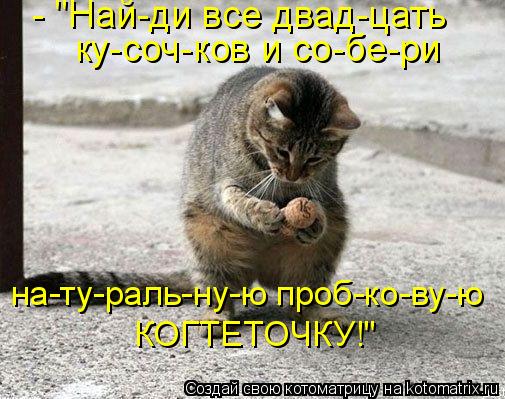 Котоматрица: - "Най-ди все двад-цать ку-соч-ков и со-бе-ри на-ту-раль-ну-ю проб-ко-ву-ю КОГТЕТОЧКУ!"