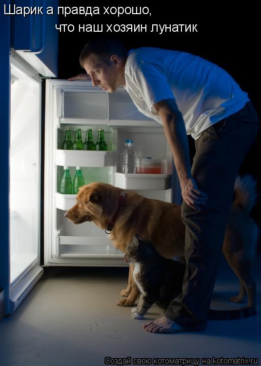 Котоматрица: Шарик а правда хорошо, что наш хозяин лунатик