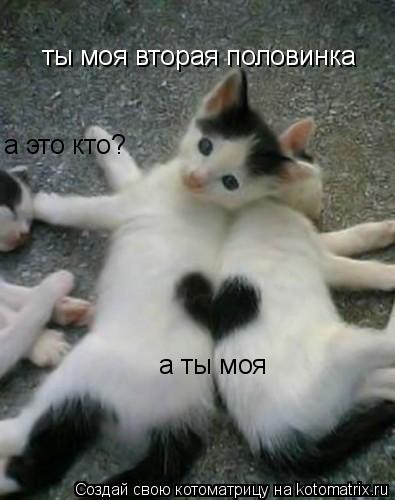 Котоматрица: ты моя вторая половинка а ты моя  а это кто?