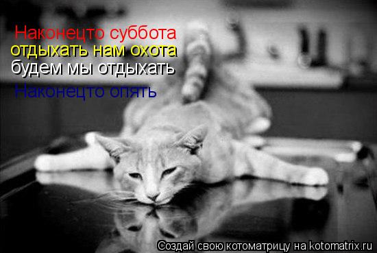 Котоматрица: Наконецто суббота отдыхать нам охота будем мы отдыхать Наконецто опять
