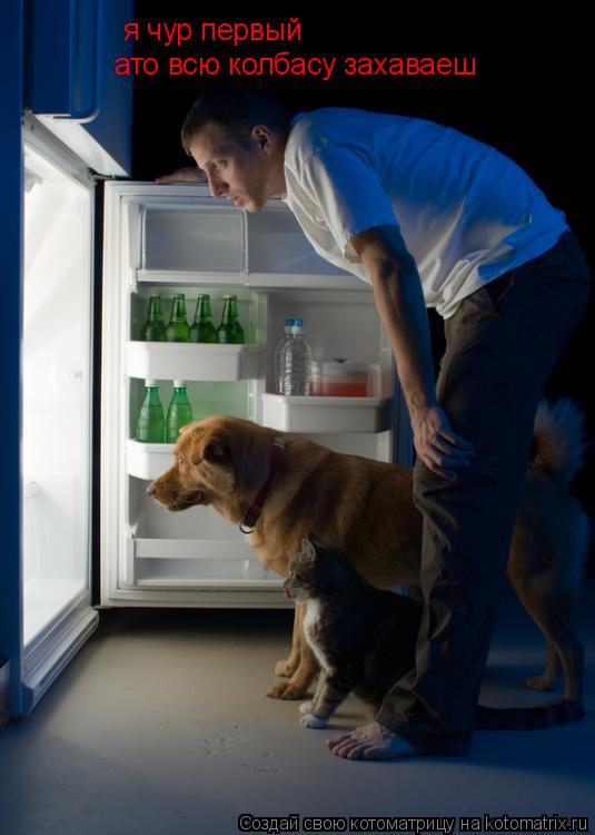 Котоматрица: я чур первый ато всю колбасу захаваеш