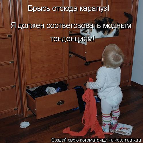 Брысь отсюда карапуз! Я должен соответсвовать модным тенденциям!... Котоматрица: Брысь отсюда карапуз! Я должен соответсвовать модным тенденциям!
