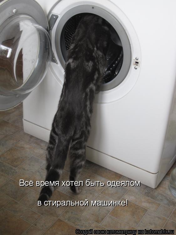 Всё время хотел быть одеялом в стиральной машинке!... Котоматрица: Всё время хотел быть одеялом в стиральной машинке!