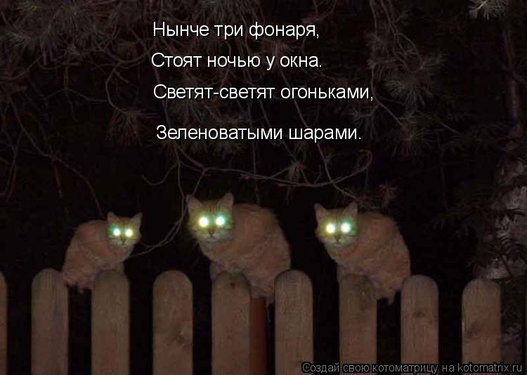 Нынче три фонаря, Стоят ночью у окна. Светят-светят огоньками, Зеленоватыми шарами.... Котоматрица: Нынче три фонаря, Стоят ночью у окна. Светят-светят огоньками, Зеленоватыми шарами.